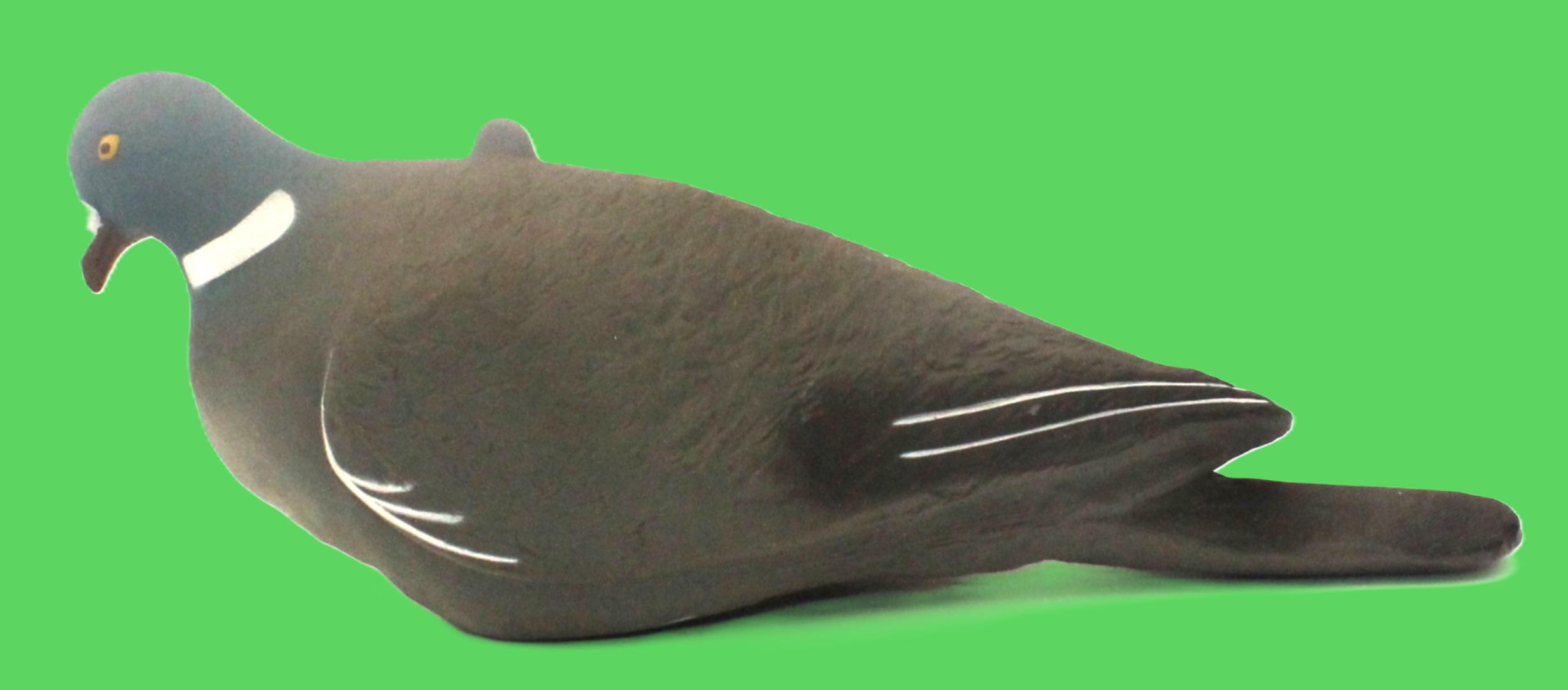 Flexi Coy RH